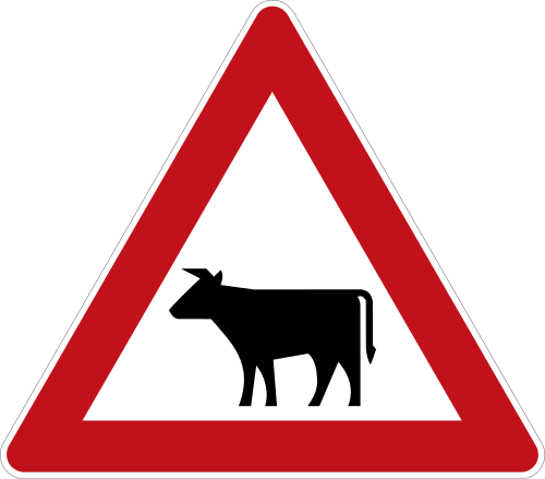 Viehtrieb – Aufstellung rechts