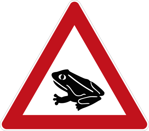 Amphibienwanderung – Aufstellung rechts
