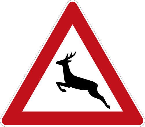 Wildwechsel – Aufstellung rechts